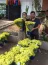 Empresrio entrega 20 vasos de flor para profissionais da sade do HUB. Foto 1